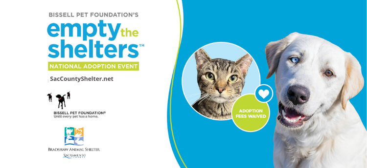 Empty the Shelters Pet Adoption Event May 1-15