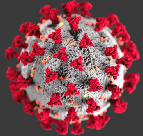 Coronavirus.PNG