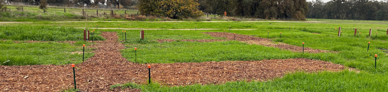 Gibson Ranch Community Garden