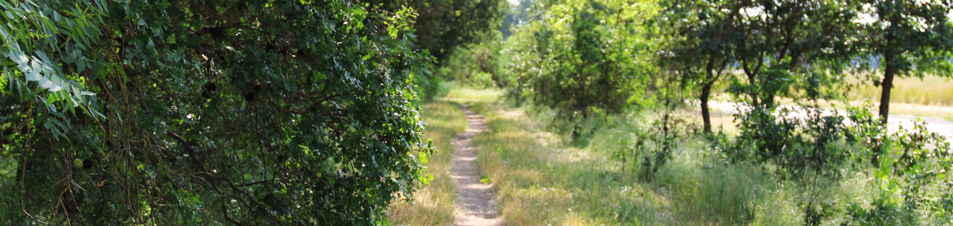 American River Parkway