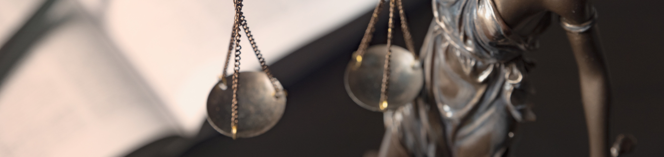 Law and Justice scale 