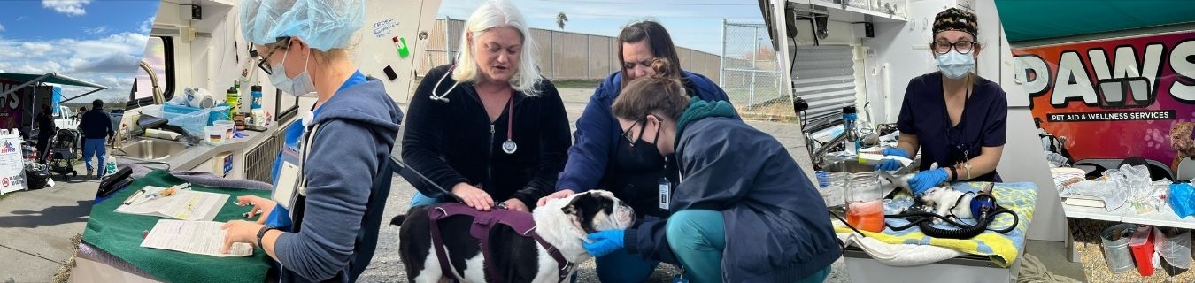 Pets for the Unhoused Wellness Services 