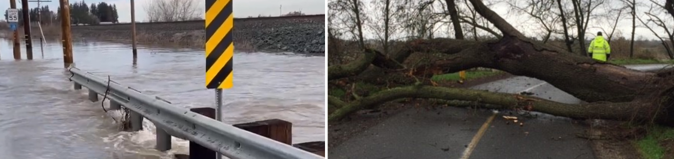 Flooding & fallen Tree from storm