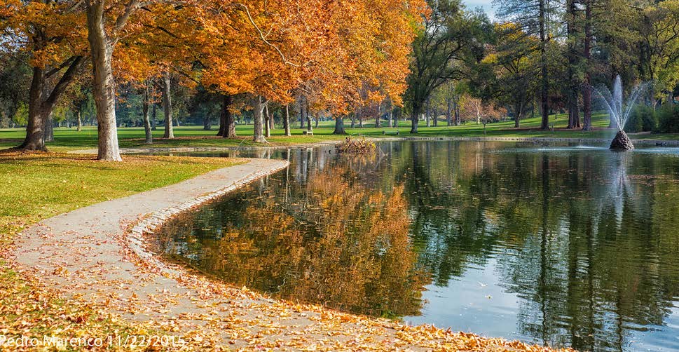 Walking trail by lake with tress in background