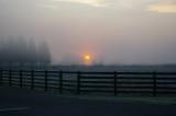 Foggy Morning at Sunrise