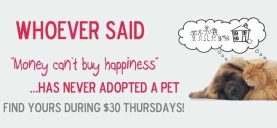 $30 Thursdays Pet Adoptions