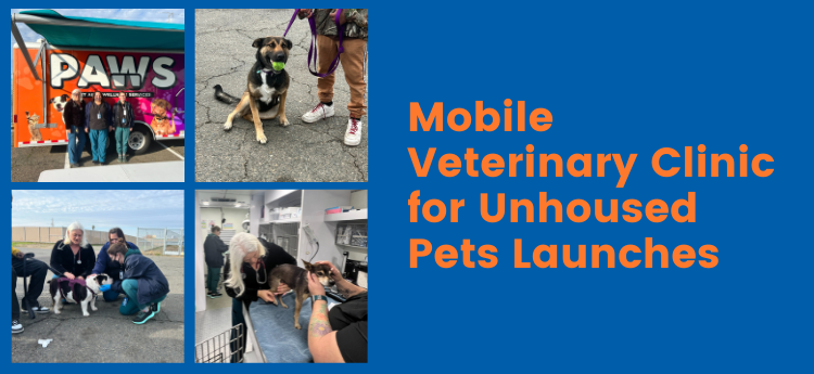 Mobile Veterinary Clinic for Unhoused Pets Launches
