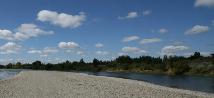 Segment of the American River in Sacramento County