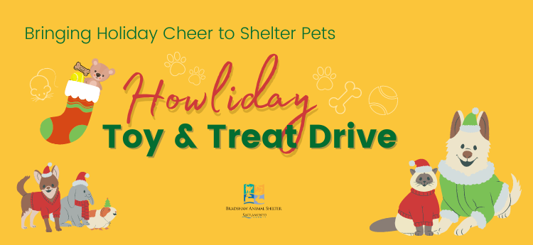 Bringing Holiday Cheer to Shelter Pets - Howliday Toy Drive