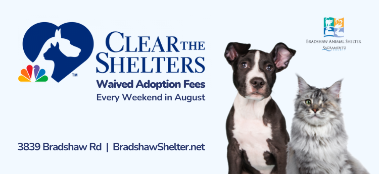 Clear the Shelters - Waived Adoption Fees Every weekend in August - Bradshaw Animal Shelter