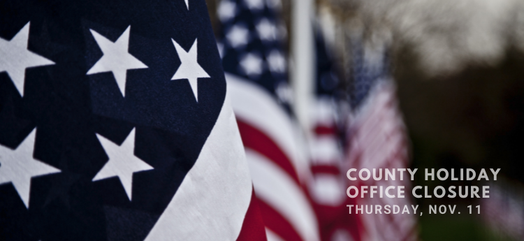 Row of American Flags - County Holiday Office Closure - Thursday, Nov. 11