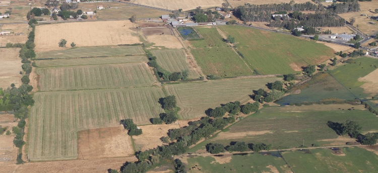 Aerial photo of Dillard Ranch