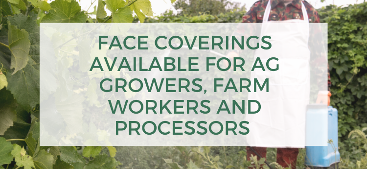 Face coverings available for ag growers, farm workers and processors 