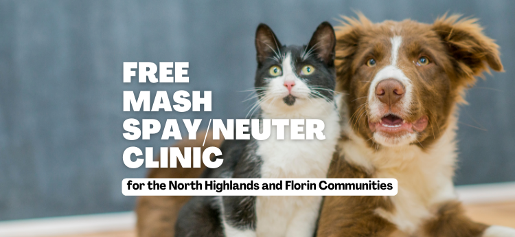Free Spay Neuter Coming to North Highlands Florin