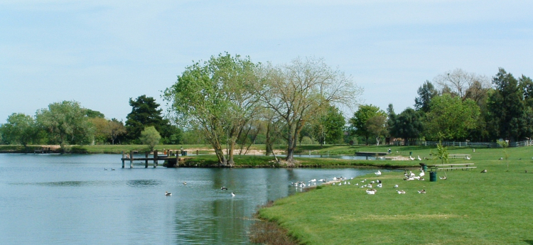 The lake at Gibson Ranch Regional Park