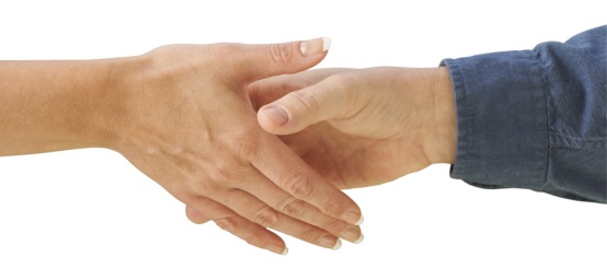 Male Female Shaking Hands