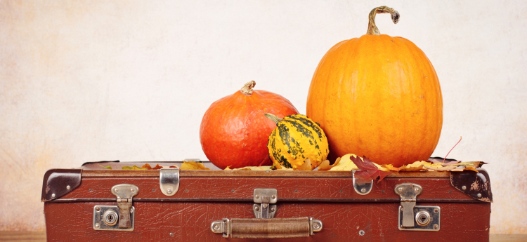 Suitcase with fall squash and pumpkins on top