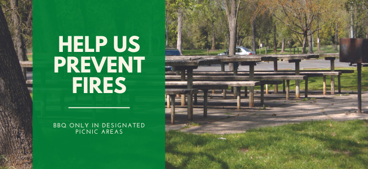 Help Us Prevent Fires - Only BBQ in Designated Picnic Areas (Photo of picnic area in a park)