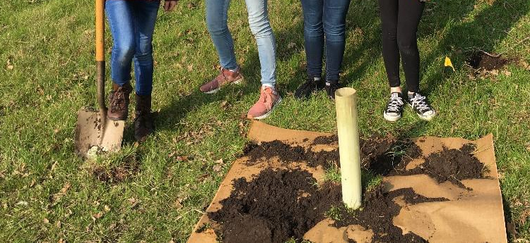 Students Planting Acorns at Horeshoe Lake