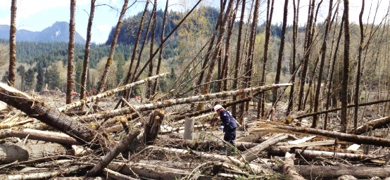 Landslide Devastation