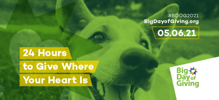Photo of a dog with a green overlay. "24 hours to give where your heart is" Big Day of Giving