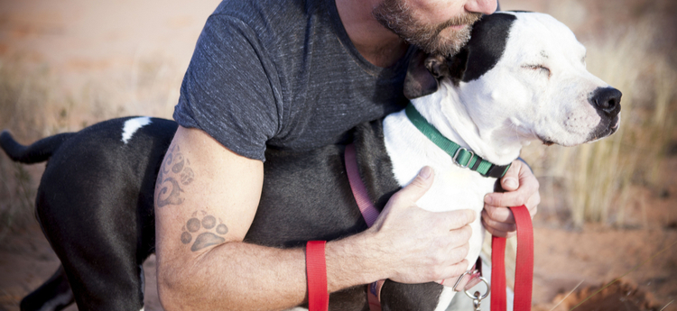 Tattooed veteran with his adopted pit bull
