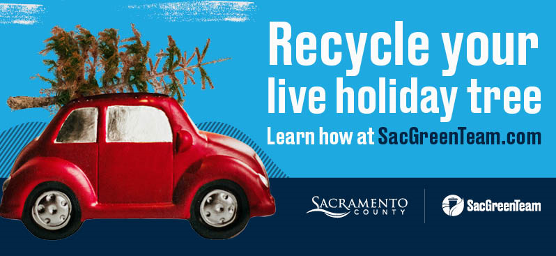 Recycle your live holiday tree! Learn how at sacgreenteam.com