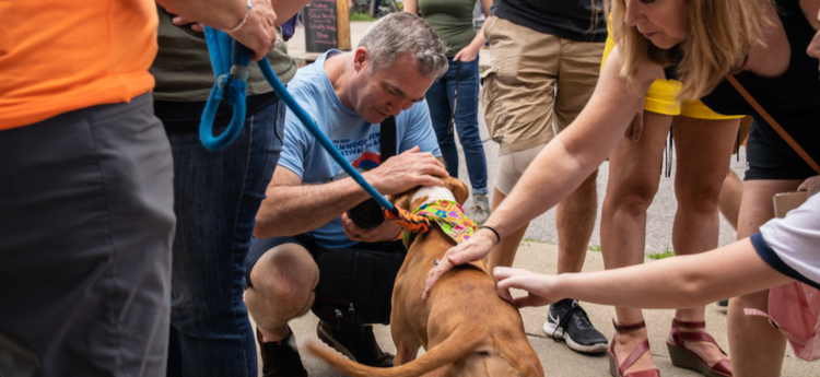 Man petting a dog in a crowd of people