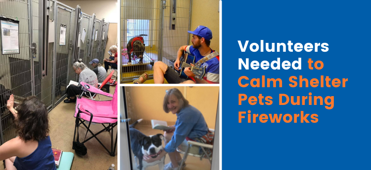 Collage of photos of volunteers at an animal shelter - Volunteers needed to calm shelter pets during fireworks