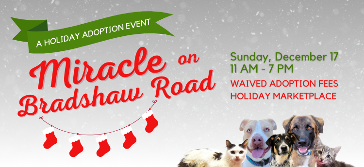 A Holiday Adoption Event Miracle on Bradshaw Road Sunday, December 17 11am - 7pm waived adoption fees holiday marketplace 