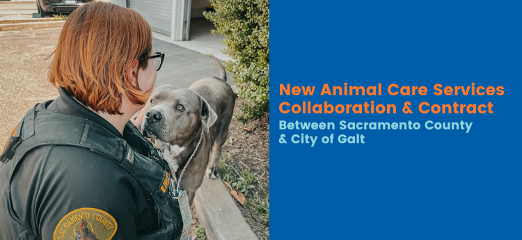 New Animal Care Services Collaboration and Contract between Sacramento County & City of Galt 