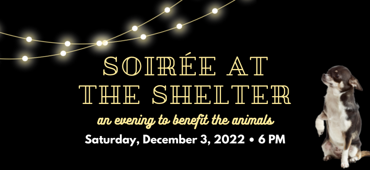 Soiree at the shelter an evening to benefit the animals