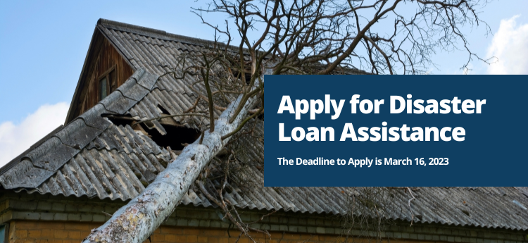 Apply for Disaster Loan Assistance 