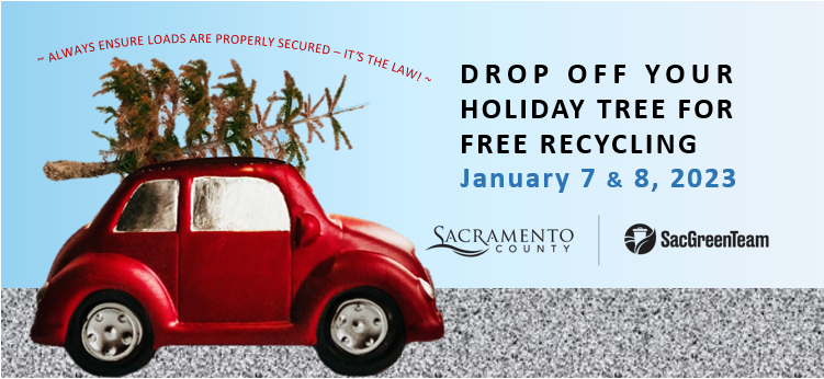 Drop off your holiday tree for free recycling January 7 & 8, 2023 