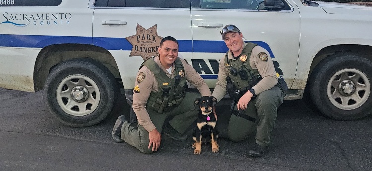 Two male rangers kneel in front of patrol car with the newly adopted small dog