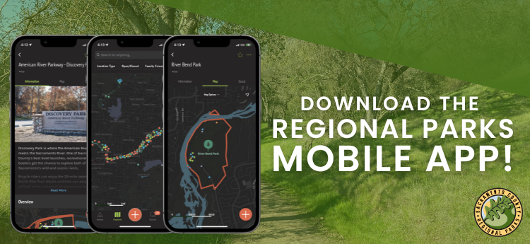 Download the regional parks app